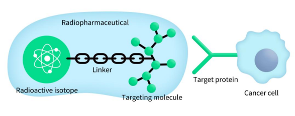 The general structure of radiopharmaceuticals