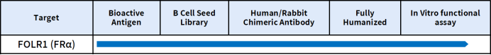 DIMA's FRα/FOLR1 Lead mAb Molecule Research Progress