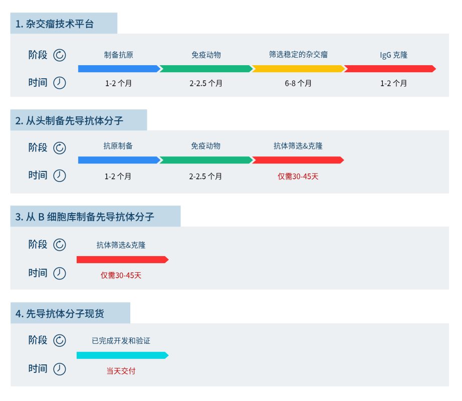 pages-B细胞种子库及先导分子优点_画板 1