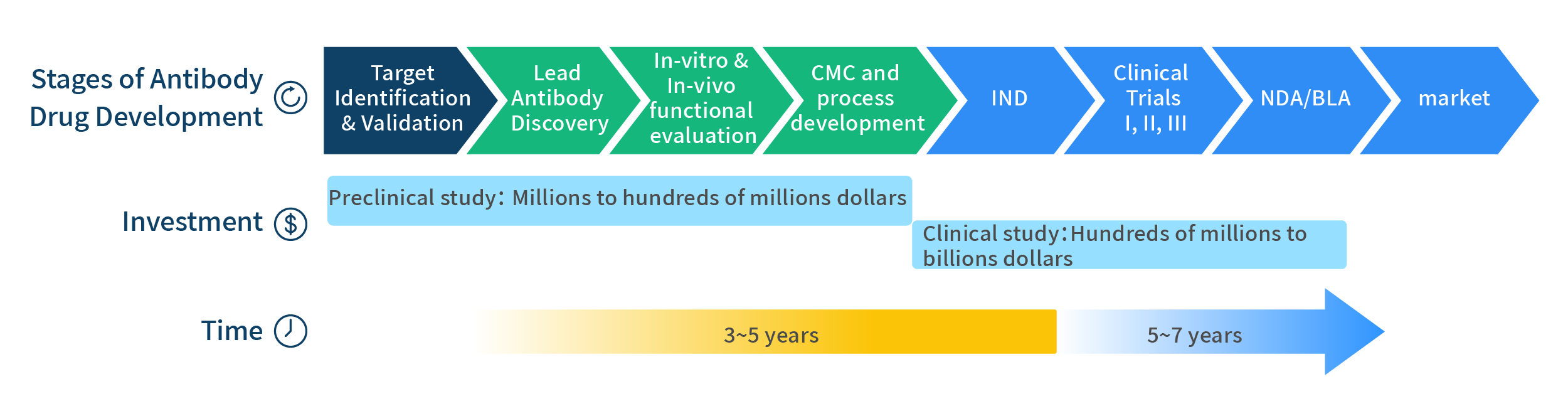 antibody-drug-development-stages – 专注肿瘤免疫