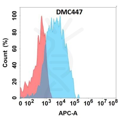 antibody-DMC100447 CCR2 Flow Fig1