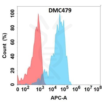 antibody-DMC100479 APCDD1 Fig.1 FC 1