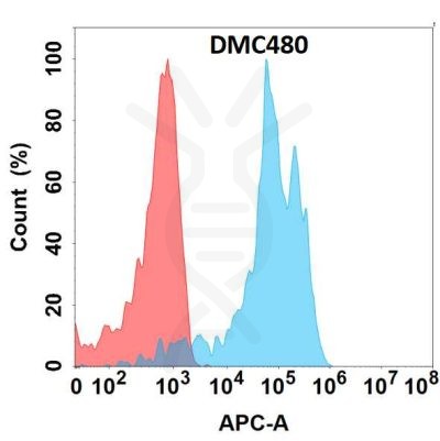 antibody-DMC100480 DDR1 Fig.1 FC 1