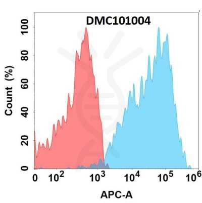 antibody-DMC101004 GPC1 Fig.1 FC 1