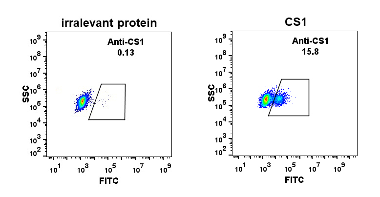 DME100009-CS1-Fig.1-FC-1.jpg