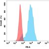 antibody-dmc100368p gpr75 fc1