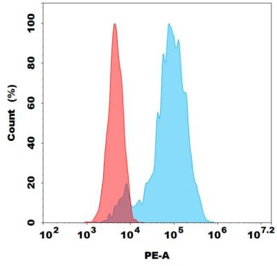 antibody-dmc100368p gpr75 fc1