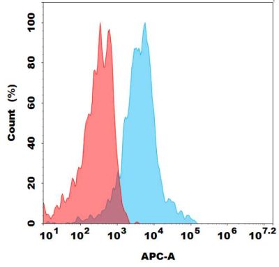 antibody-dmc100492b gpr75 fc1