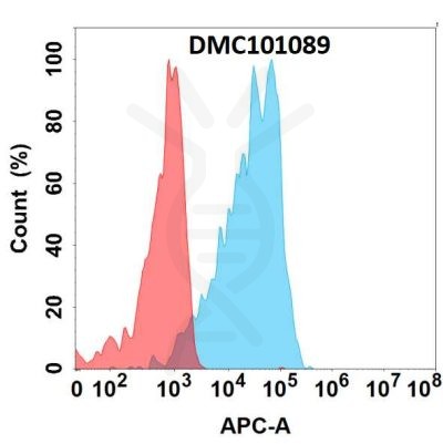 antibody-dmc101089 dll3 fc1