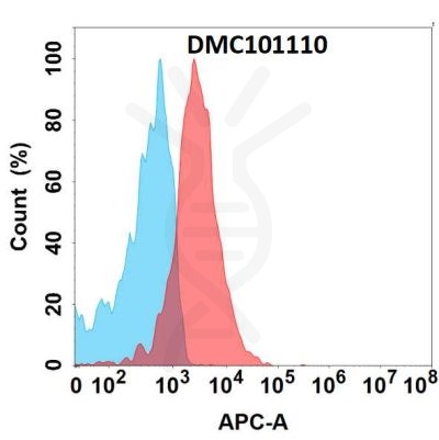 antibody-dmc101110 flt3 fc1