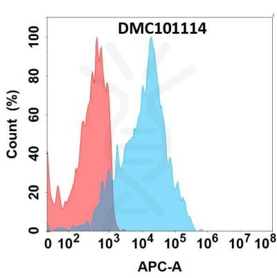 antibody-dmc101114 cd205 fc1