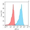 antibody-dmc101200 cldn6 fc1