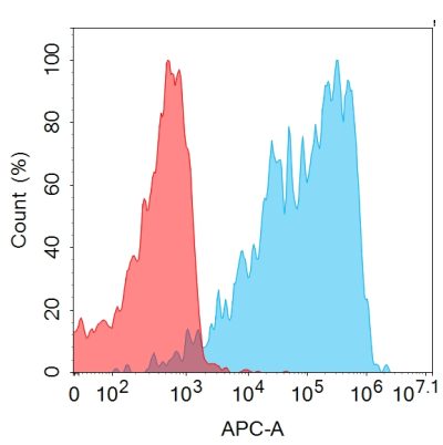 antibody-dmc101228 tshr fc1