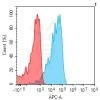 antibody-dmc101380 acvrl1 fc1