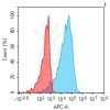 antibody-dmc101403 il12rb1 fc1