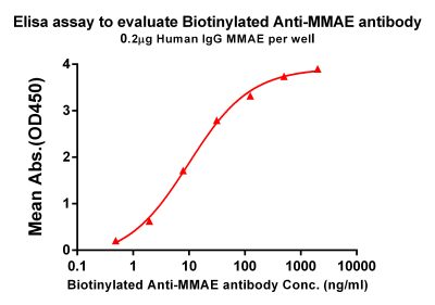 antibody-dme101007b mmae elisa1