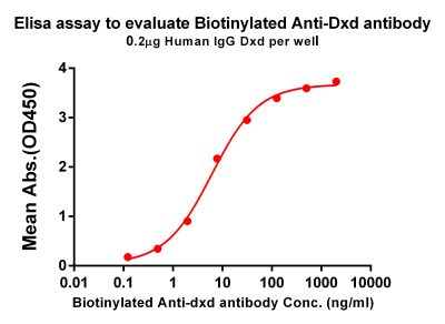 antibody-dme101025b dxd elisa1