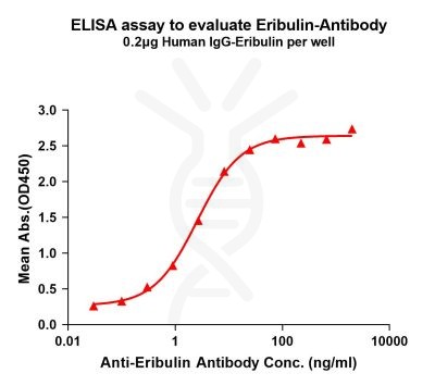 antibody-dme101048 eribulin elisa1