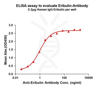 antibody-dme101050 eribulin elisa1
