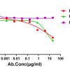 antibody-dme101124 feline il31 elisa1