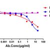 antibody-dme101125 feline il31 elisa1