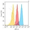 antibody-dme101218 cd9 fc1