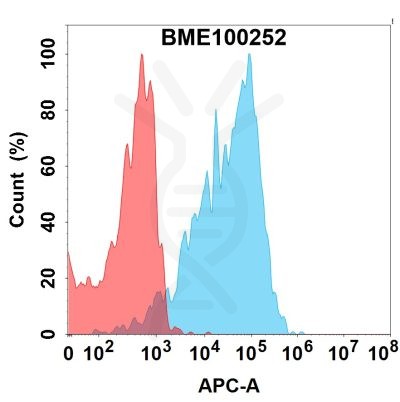 FC-bme100252 egfr fc1