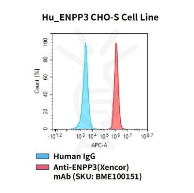 fc-cel100056 hu enpp3 cho s cell line flow