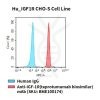 fc-cel100068 hu igf1r cho s cell line flow