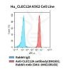 fc-cel100070 hu clec12a k562 cell line flow