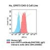 fc-cel100092 hu gpr75 cho s cell line flow