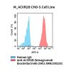 fc-cel100095 m acvr2b cho s cell line flow