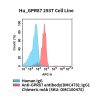 fc-cel100096 hu gpr87 293t cell line flow