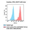 fc-cel100104 canine pd1 293t cell line flow