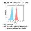 fc-cel100110 hu gpr75 c strep cho s cell line flow