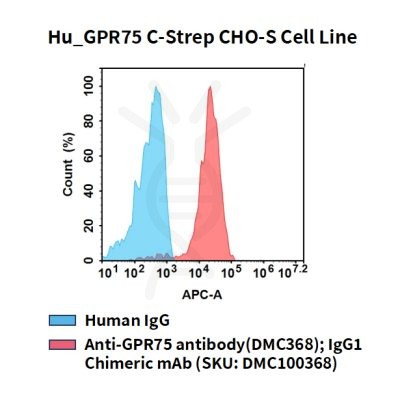 fc-cel100110 hu gpr75 c strep cho s cell line flow