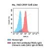 fc-cel100113 hu taci 293t cell line flow