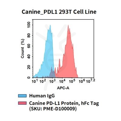 fc-cel100114 canine pdl1 293t cell line flow