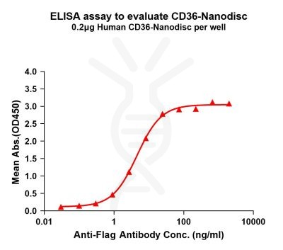 elisa-FLP100044 CD36 Fig.1 Elisa 1
