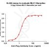 elisa-FLP100087 MLC1 Fig.1 Elisa 1