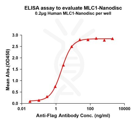 elisa-FLP100087 MLC1 Fig.1 Elisa 1