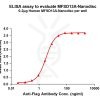 elisa-FLP100106 MFSD13A Fig.1 Elisa 1