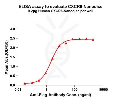 elisa-FLP100124 CXCR6 Fig.1 Elisa 1