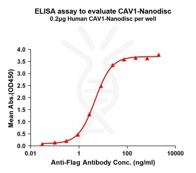 elisa-FLP100142 CAV1 Fig.1 Elisa 1