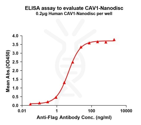 elisa-FLP100142 CAV1 Fig.1 Elisa 1