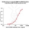 elisa-flp110008 mbp cldn6 elisa1