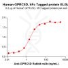 elisa-PME100677 GPRC5D hFc DM91 ELISA Fig2