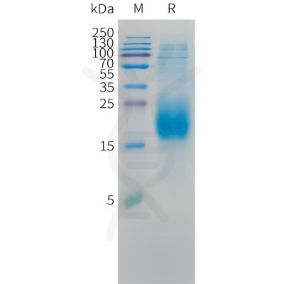 sp-pme c100053 cd3d sp1