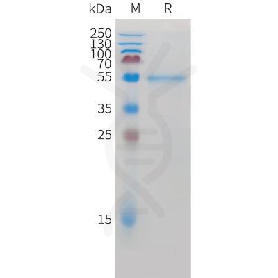 sp-pme c100059 ror2 sp1