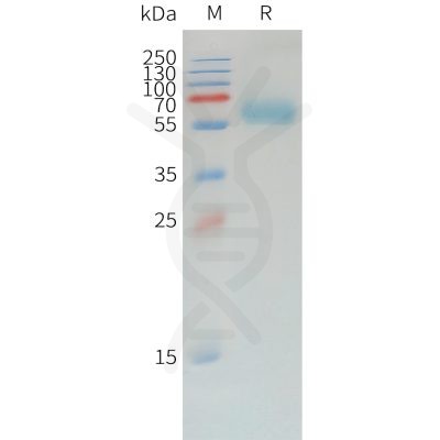 sp-pme d100008 pd 1 sp1